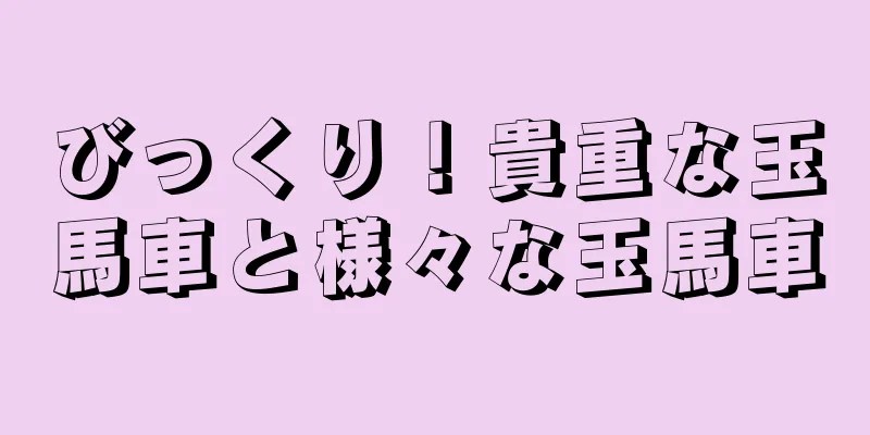びっくり！貴重な玉馬車と様々な玉馬車