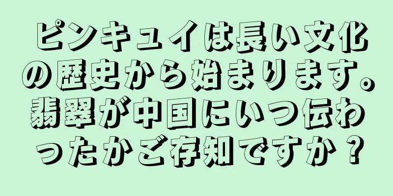 ピンキュイは長い文化の歴史から始まります。翡翠が中国にいつ伝わったかご存知ですか？
