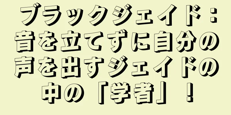ブラックジェイド：音を立てずに自分の声を出すジェイドの中の「学者」！