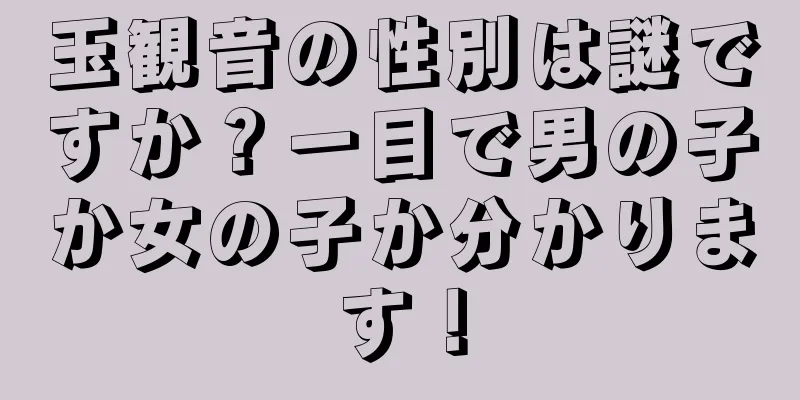 玉観音の性別は謎ですか？一目で男の子か女の子か分かります！