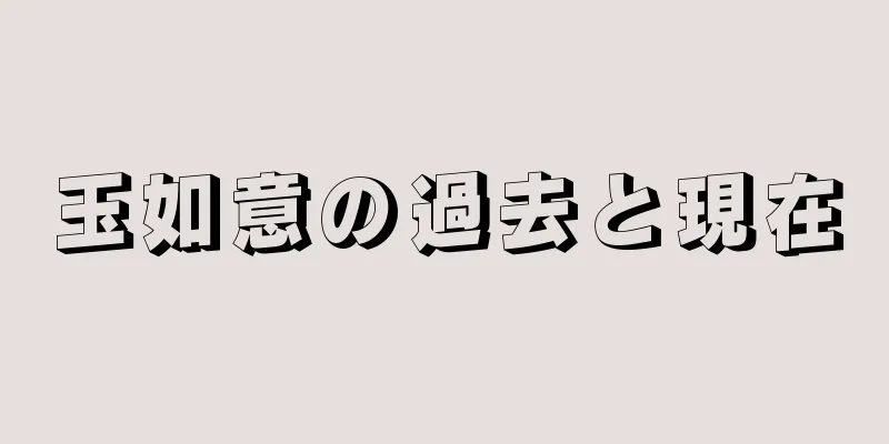 玉如意の過去と現在