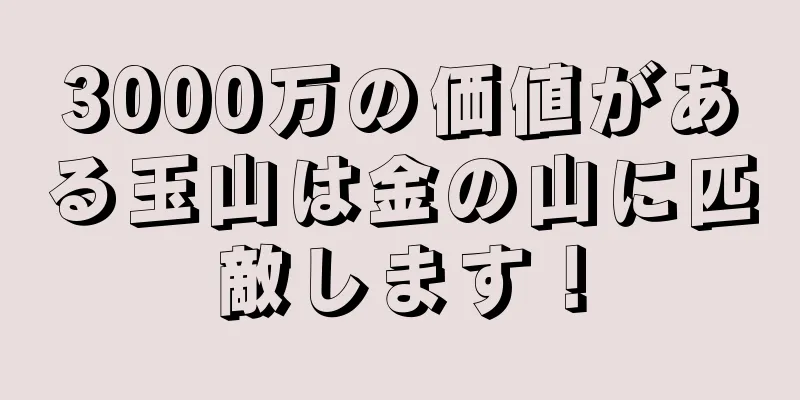 3000万の価値がある玉山は金の山に匹敵します！