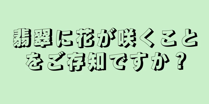 翡翠に花が咲くことをご存知ですか？