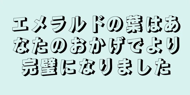 エメラルドの葉はあなたのおかげでより完璧になりました