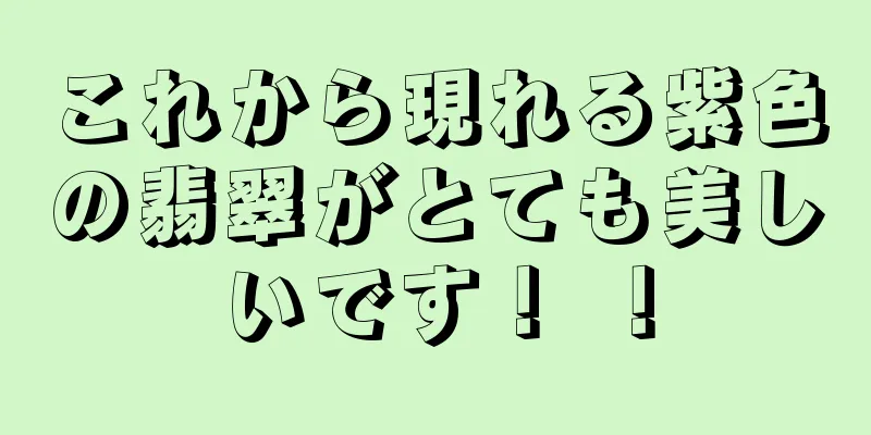 これから現れる紫色の翡翠がとても美しいです！ ！