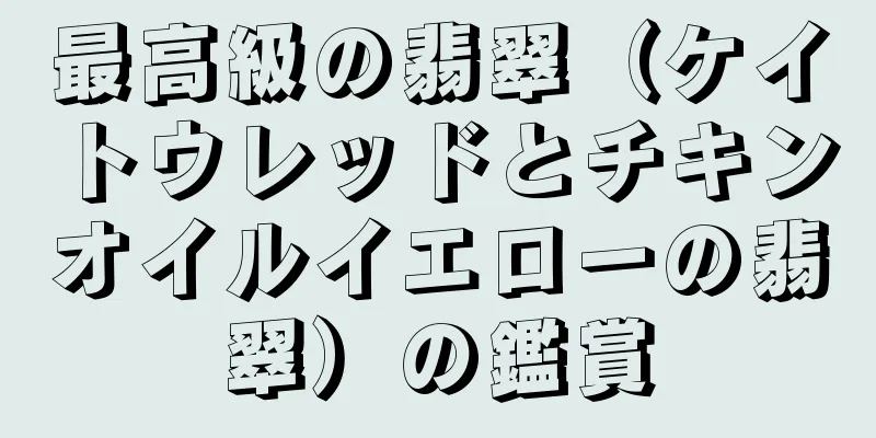 最高級の翡翠（ケイトウレッドとチキンオイルイエローの翡翠）の鑑賞