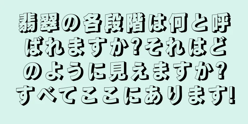 翡翠の各段階は何と呼ばれますか?それはどのように見えますか?すべてここにあります!
