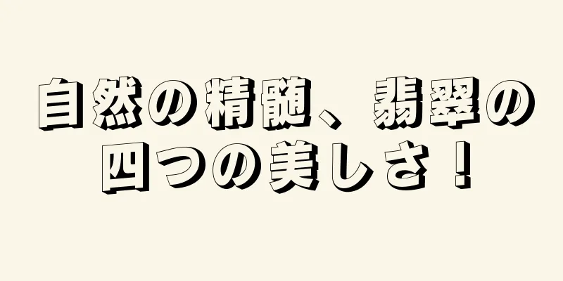 自然の精髄、翡翠の四つの美しさ！