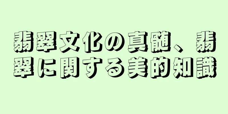 翡翠文化の真髄、翡翠に関する美的知識