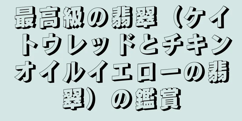 最高級の翡翠（ケイトウレッドとチキンオイルイエローの翡翠）の鑑賞