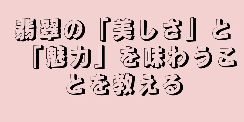 翡翠の「美しさ」と「魅力」を味わうことを教える