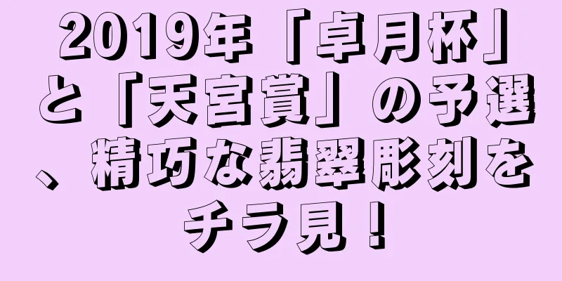 2019年「卓月杯」と「天宮賞」の予選、精巧な翡翠彫刻をチラ見！