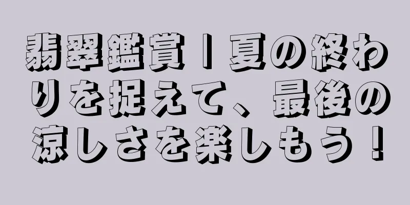 翡翠鑑賞 | 夏の終わりを捉えて、最後の涼しさを楽しもう！