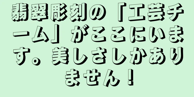 翡翠彫刻の「工芸チーム」がここにいます。美しさしかありません！
