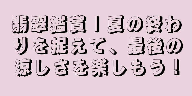 翡翠鑑賞 | 夏の終わりを捉えて、最後の涼しさを楽しもう！