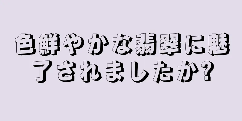 色鮮やかな翡翠に魅了されましたか?