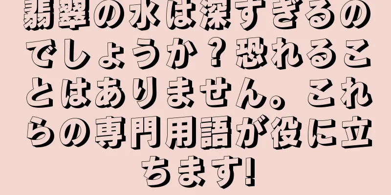 翡翠の水は深すぎるのでしょうか？恐れることはありません。これらの専門用語が役に立ちます!