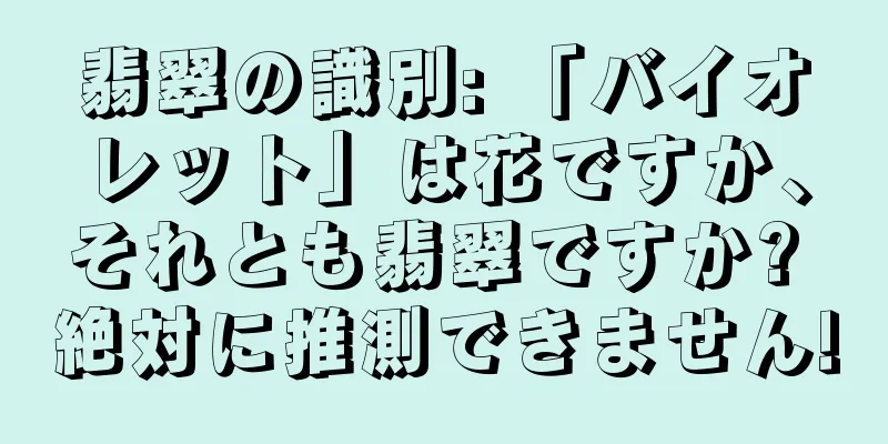 翡翠の識別: 「バイオレット」は花ですか、それとも翡翠ですか? 絶対に推測できません!