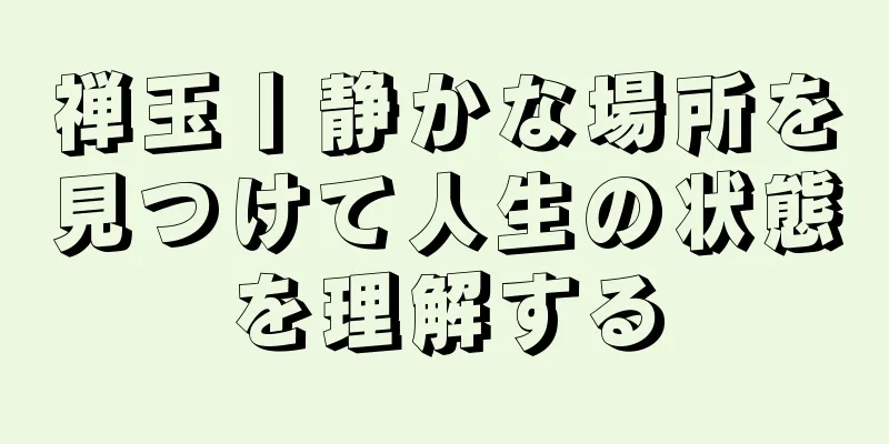 禅玉丨静かな場所を見つけて人生の状態を理解する