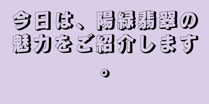 今日は、陽緑翡翠の魅力をご紹介します。