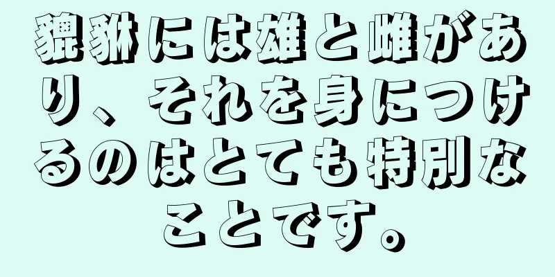 貔貅には雄と雌があり、それを身につけるのはとても特別なことです。
