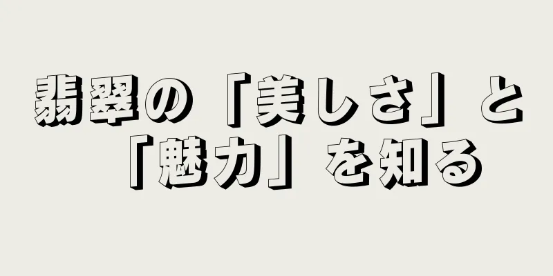 翡翠の「美しさ」と「魅力」を知る