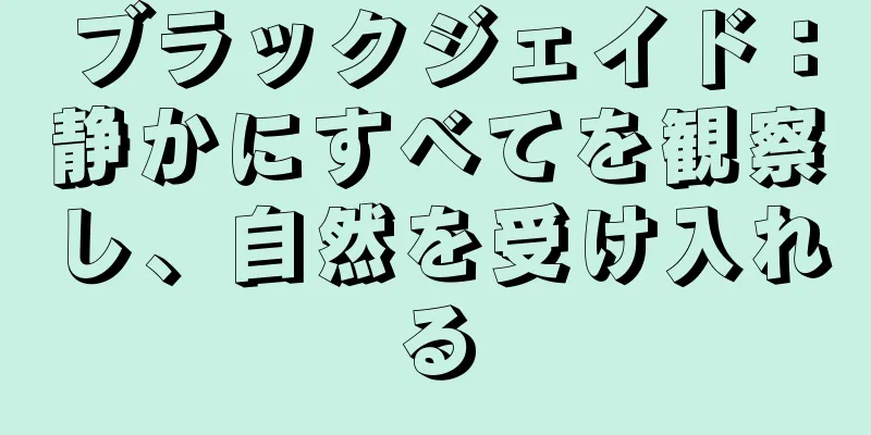 ブラックジェイド：静かにすべてを観察し、自然を受け入れる