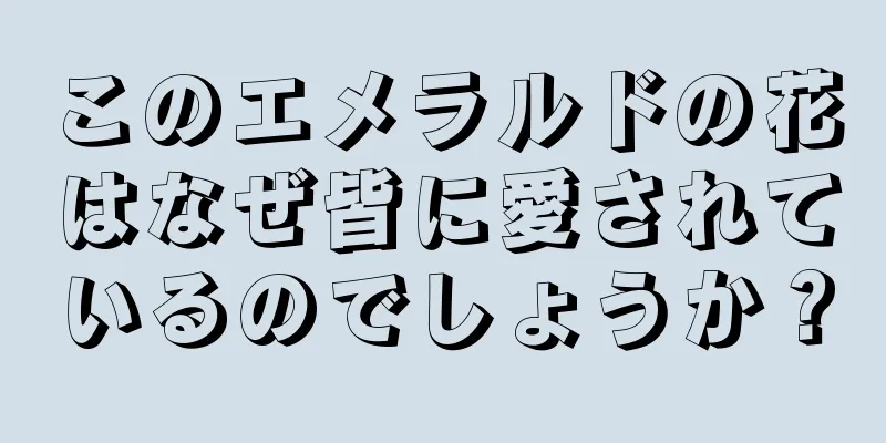 このエメラルドの花はなぜ皆に愛されているのでしょうか？