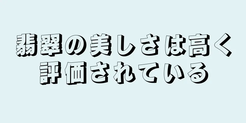 翡翠の美しさは高く評価されている
