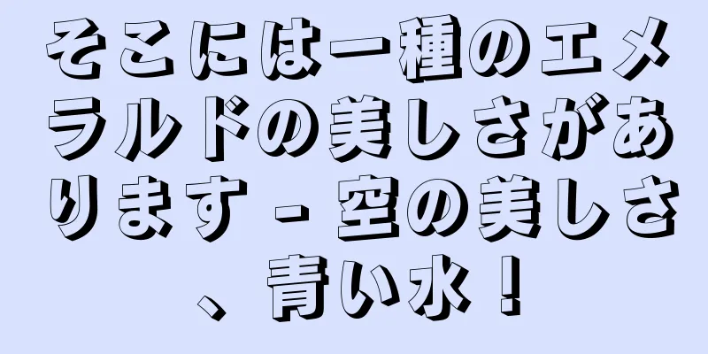 そこには一種のエメラルドの美しさがあります - 空の美しさ、青い水！