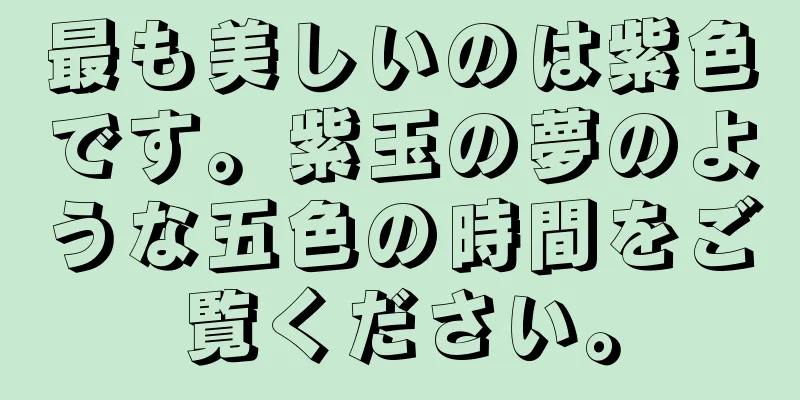 最も美しいのは紫色です。紫玉の夢のような五色の時間をご覧ください。