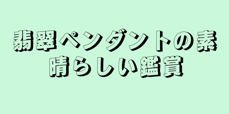 翡翠ペンダントの素晴らしい鑑賞
