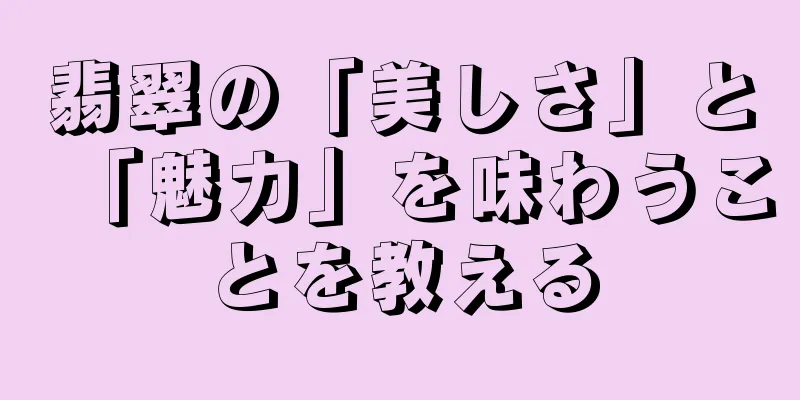 翡翠の「美しさ」と「魅力」を味わうことを教える