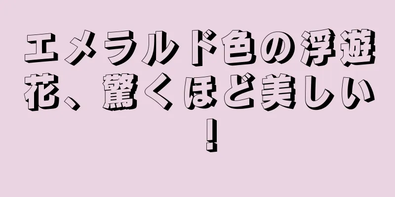 エメラルド色の浮遊花、驚くほど美しい！