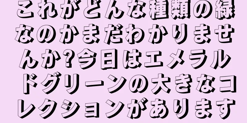 これがどんな種類の緑なのかまだわかりませんか?今日はエメラルドグリーンの大きなコレクションがあります