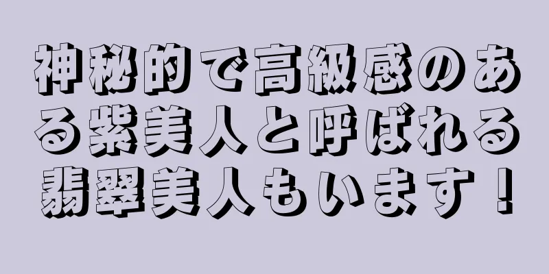 神秘的で高級感のある紫美人と呼ばれる翡翠美人もいます！