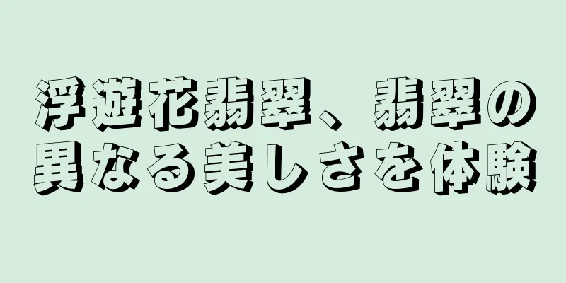 浮遊花翡翠、翡翠の異なる美しさを体験