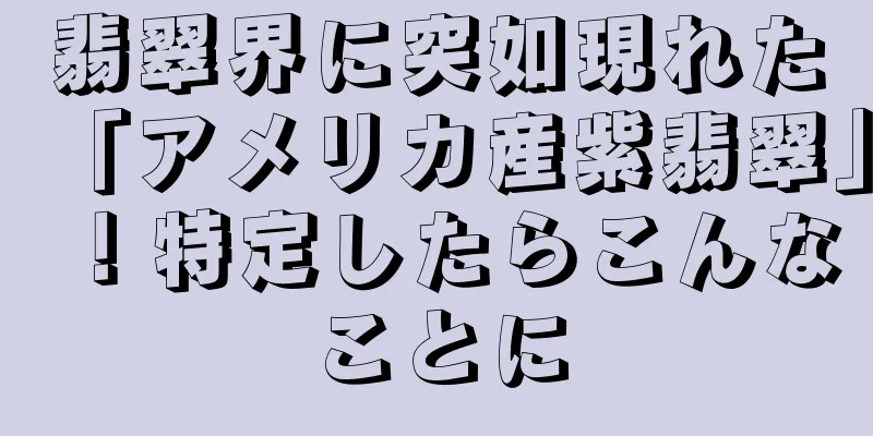 翡翠界に突如現れた「アメリカ産紫翡翠」！特定したらこんなことに