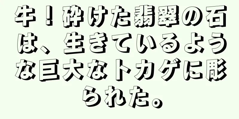 牛！砕けた翡翠の石は、生きているような巨大なトカゲに彫られた。