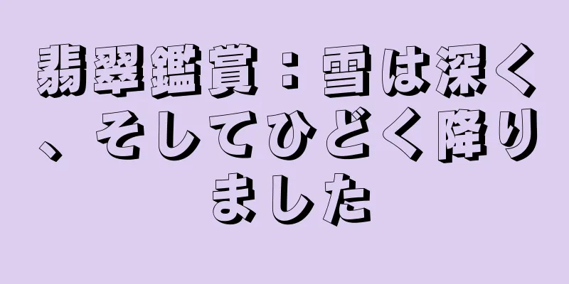 翡翠鑑賞：雪は深く、そしてひどく降りました