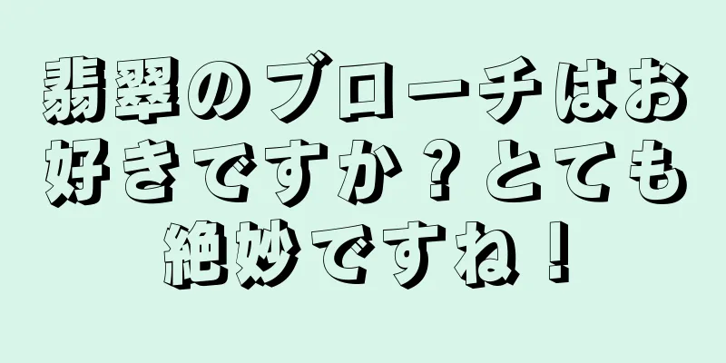 翡翠のブローチはお好きですか？とても絶妙ですね！